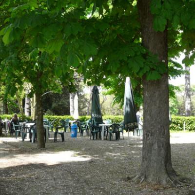 Galleria Arezzo - Cultura Italiana Arezzo